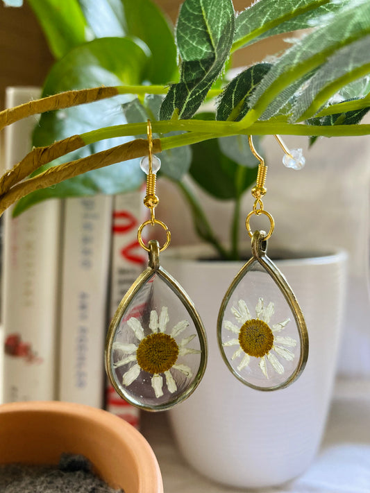 Handmade Pressed White Daisy Dangle Earrings